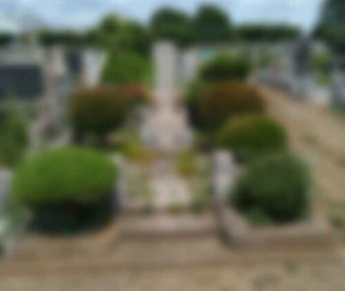 都立霊園の墓じまい