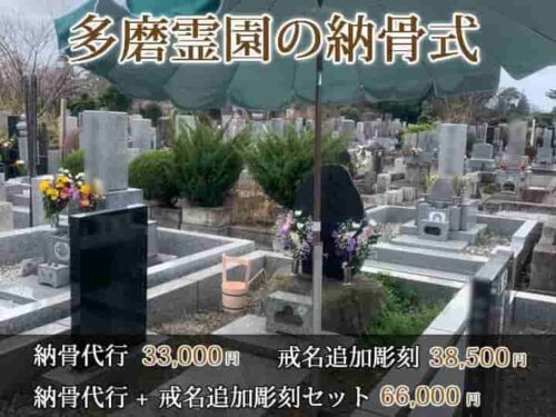 多磨霊園納骨