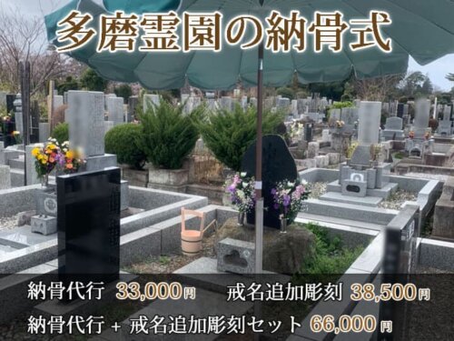 多磨霊園納骨