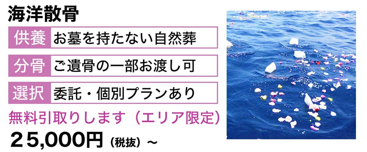hero-04 墓じまいされた方の半数は海洋散骨にてご供養されております。
